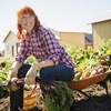 grow vegetables
