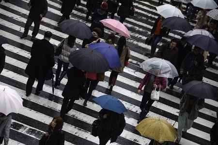 rainy day