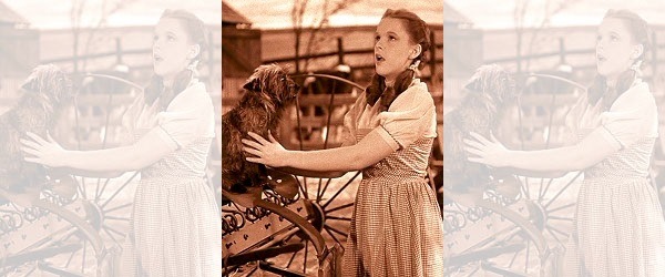 Dorthy in Kansas