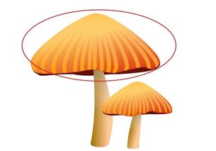 large