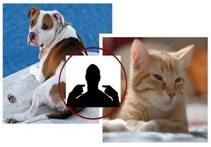 my pets