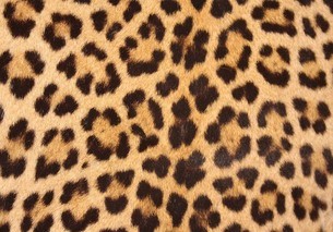 spots
