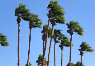 wind