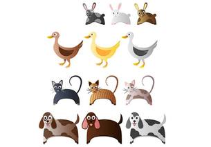 animals