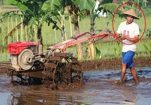 farmer