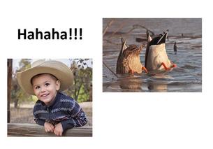 funny