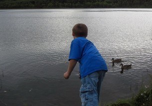 see ducks