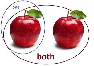 both = not one - both = all (2 of them)