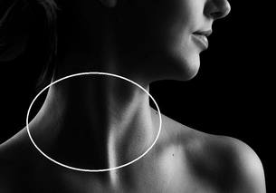 neck