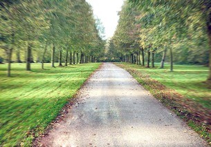 path