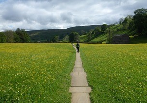 across the field