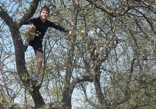 climb a tree