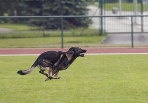 run