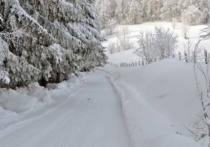 snow