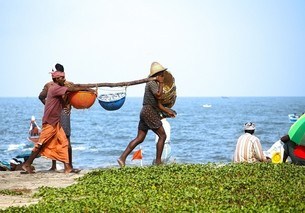 work together