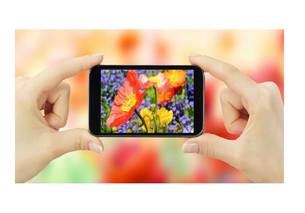 take a picture of flowers