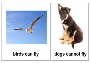 can