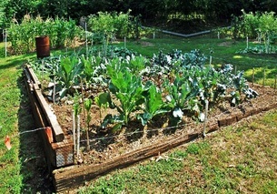 garden