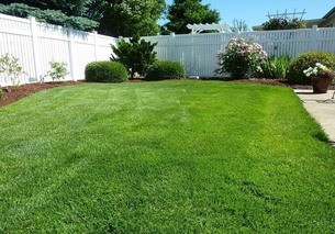 yard