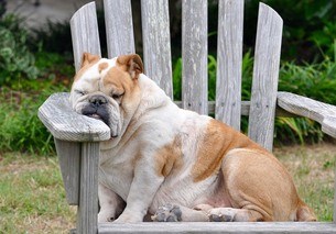 sleepy
