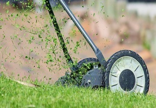 mow