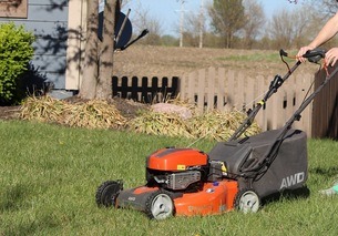 mow the grass
