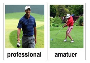 professional 