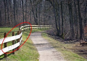 fence