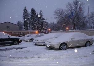snowy