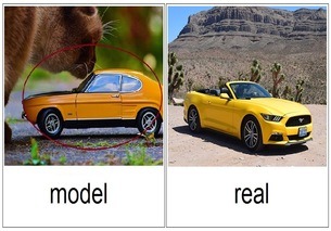 model