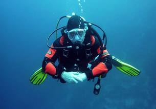dive