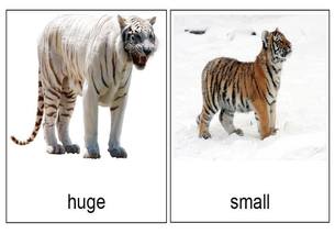 huge