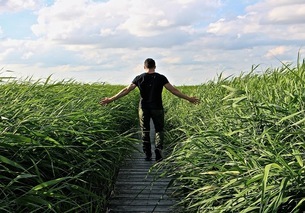 walk through