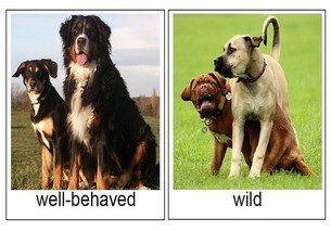 well-behaved