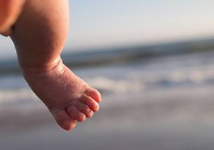 foot