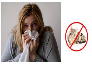 allergic