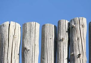 pole