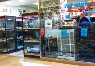 pet store