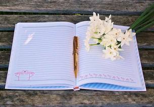 journal
