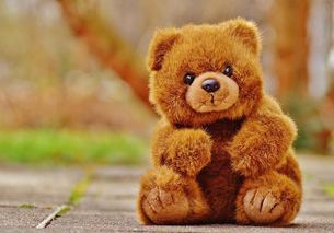 stuffed bear