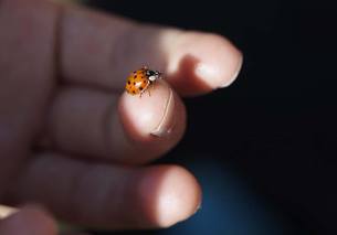 tiny