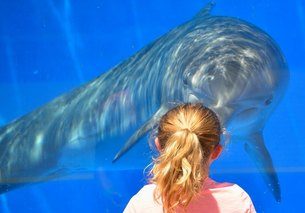 aquarium