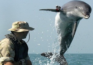 marine biologist