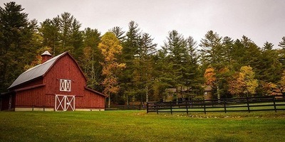 On the Farm