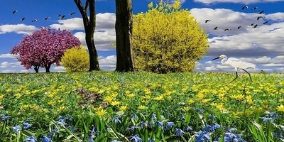 My Favorite Season