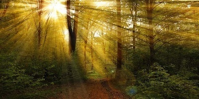 A Beautiful Day