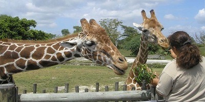 A Visit to the Zoo