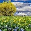 My Favorite Season
