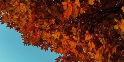 Weather - Summer and Autumn