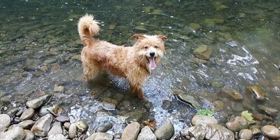 Happy and Feeling Good - Interactive Practice